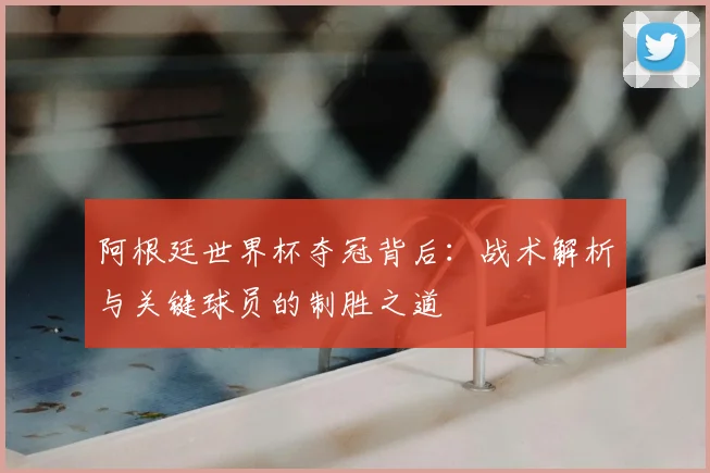 阿根廷世界杯夺冠背后：战术解析与关键球员的制胜之道